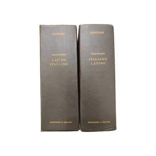 Dizionario latino italiano - dizionario,