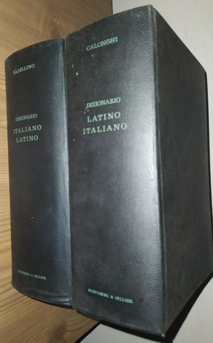 Dizionario della lingua - dizionario,